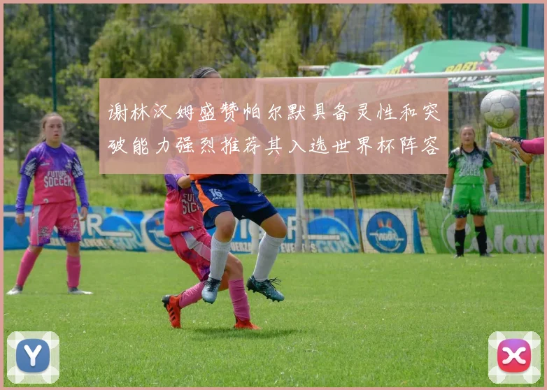 谢林汉姆盛赞帕尔默具备灵性和突破能力强烈推荐其入选世界杯阵容